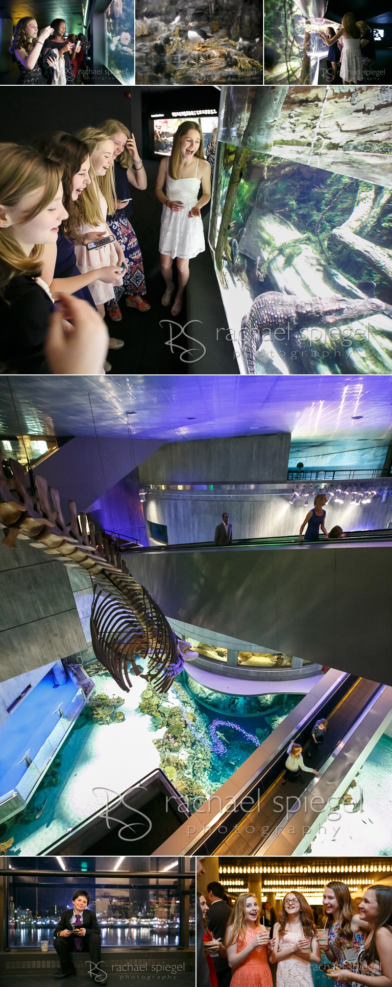 AquariumParty 3